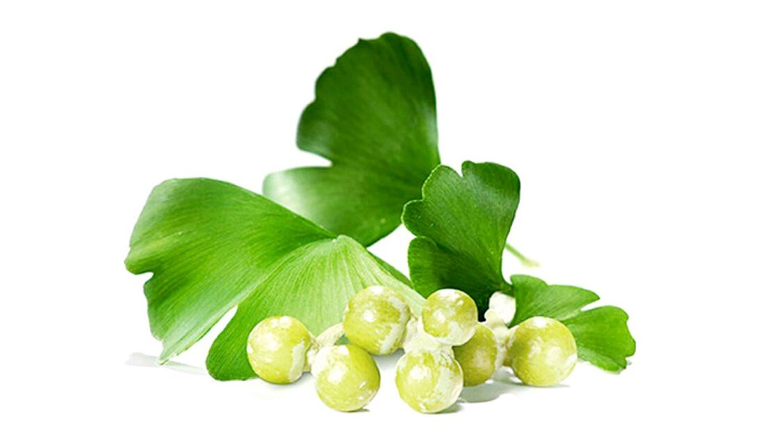 Ginkgo biloba em Osteflex
