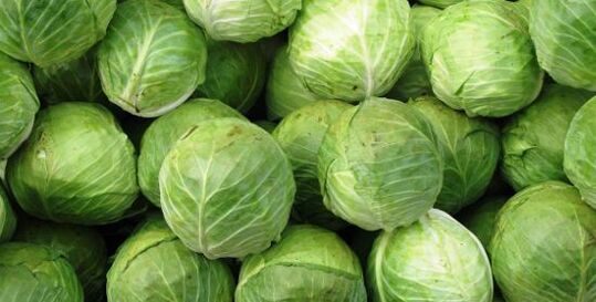 repolho para compressa para artrose do joelho